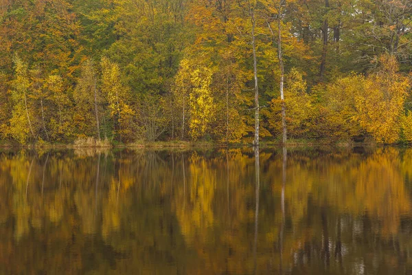 Petit Lac Forestier Par Une Matinée Ensoleillée Automne Dans Parc — Photo