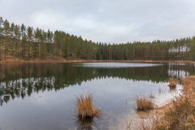 Göl, sakin su, sudaki orman yansıması, bulutlu sonbahar manzarası. İsveç.