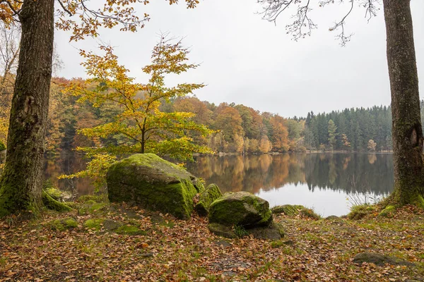 Осінній Пейзаж Швеція Озеро Спокійна Вода Лісове Відображення Воді — стокове фото