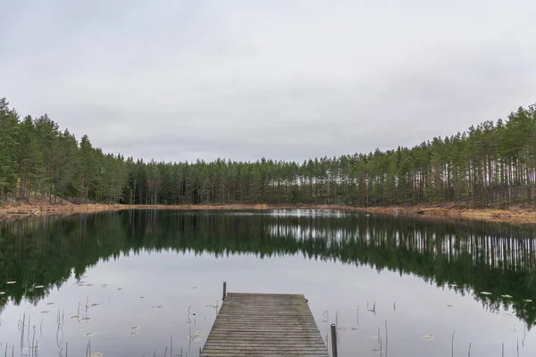 Nyugodt Víz Erdei Tükröződés Vízben Felhőkőszi Táj Svédország — Stock Fotó