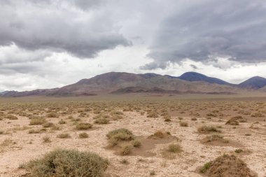 Dry Mongolian landscapes in the Altai Mountains, wide landscape. clipart