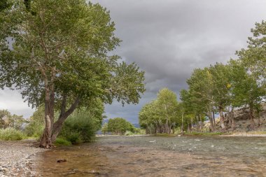 Yeşil vaha. Dağ nehri Altai dağları, Moğolistan