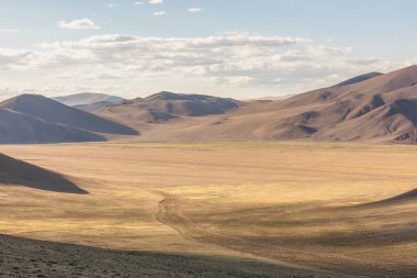 Dağın yakınındaki vahşi atlarla birlikte manzara. Altai, Sibirya.