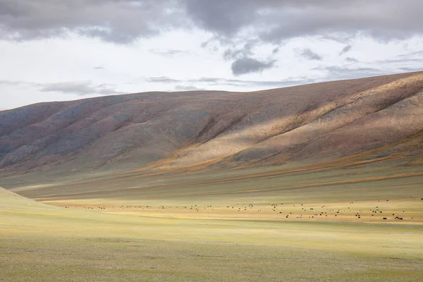 Vista Típica Paisagem Mongol Mongol Altai Mongólia — Fotografia de Stock