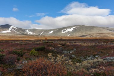 Laponya 'daki Sarek Ulusal Parkı Dağları, Sonbahar, İsveç, Seçici Odaklanma