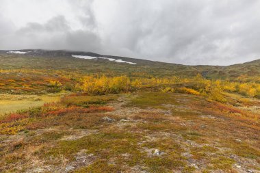 Laponya 'daki Sarek Ulusal Parkı Dağları, Sonbahar, İsveç, Seçici Odaklanma