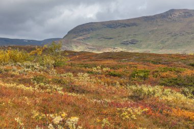 Sonbaharda İsveç 'in kuzeyinde Sarek Ulusal Parkı, seçici odaklı