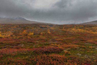Vadi manzarası. Kuzey İsveç, Sonbaharda fırtınalı havada Sarek Ulusal Parkı. seçici odak