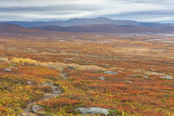 Sarek Nemzeti Park Lappföldi Kilátás Hegyről Svédország Szelektív Fókusz — Stock Fotó