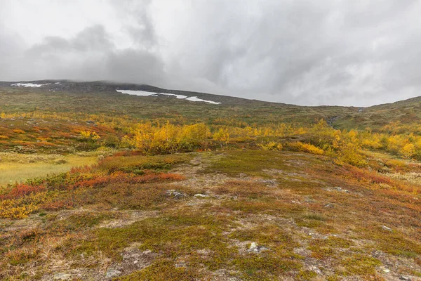 Βουνά Του Εθνικού Πάρκου Σάρεκ Στη Λαπωνία Φθινόπωρο Σουηδία Επιλεκτική — Φωτογραφία Αρχείου