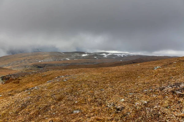 Národní Park Sarek Severním Švédsku Podzim Selektivní Zaměření — Stock fotografie