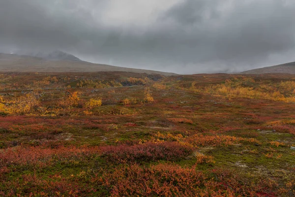 Vadi Manzarası Kuzey Sveç Sonbaharda Fırtınalı Havada Sarek Ulusal Parkı — Stok fotoğraf