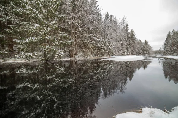 Paysage Hivernal Rivière Coulant Long Une Forêt Enneigée Suède Vitesse — Photo