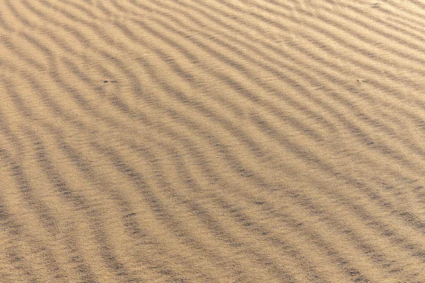 Sand Texture Sandy Beach Background Top View Selective Focus — Stock Photo, Image