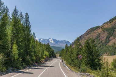 Altai Dağları yolu, Altai bölgesi, Sibirya Rusya.