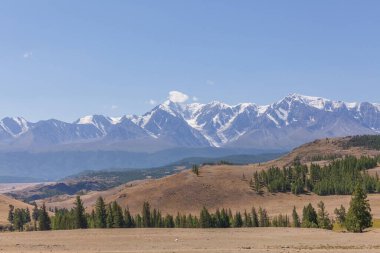 Belukha Dağı manzarası. Şimdi de Altai dağları. Belukha Sibirya 'nın en yüksek zirvesi.