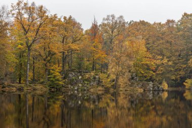 Deniz kıyısı ve sudaki sonbahar renkli ormandan yansımalar, Kuzey İsveç 'ten fotoğraf.