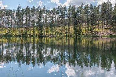 Bulutlu gökyüzü ve gölün kenarındaki tenha alanda ağaç yansıması. Sakin sular ve bulutlu gökyüzü. İsveç. Seçici odaklanma. uzun pozlama