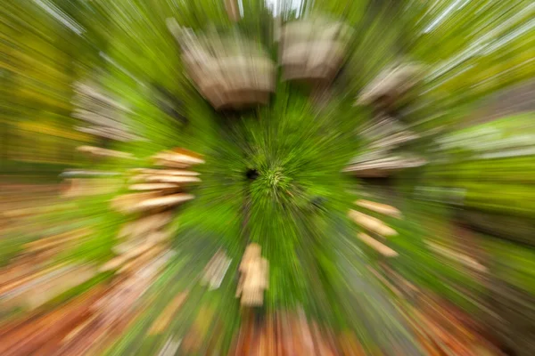 Herfstbos Een Zonnige Dag Abstracte Foto — Stockfoto