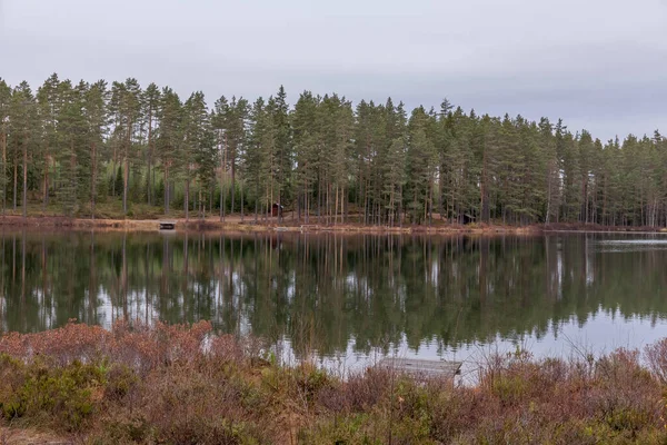 Sjön Lugnt Vatten Skoglig Reflektion Vattnet Mulet Höstlandskap Sverige — Stockfoto