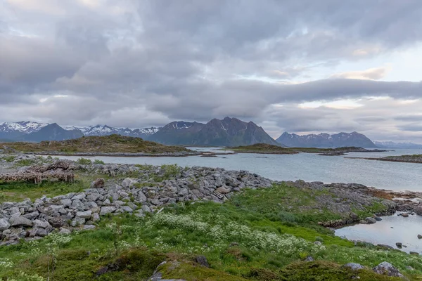 ノルウェーの夏の風景フィヨルド ノルウェー 選択的焦点ノルウェーのカラフルな朝のシーン — ストック写真