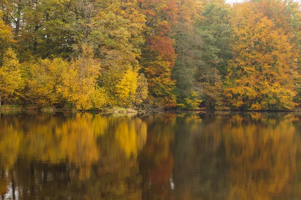 Bord Mer Reflets Forêt Colorée Automne Dans Eau Image Nord — Photo