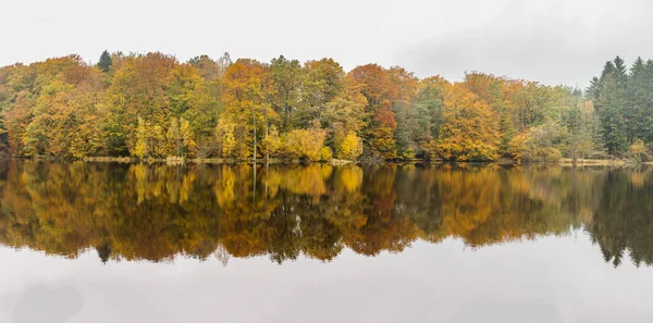 Sonnenlicht Herbstlichen Wald Mit Bäumen Wasser Ein Wanderweg Rund Den — Stockfoto