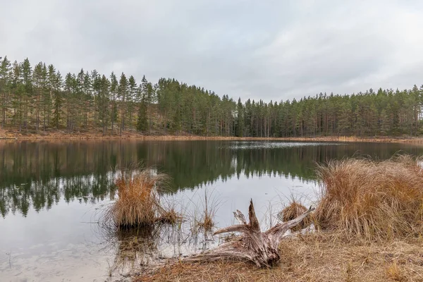 Lac Eau Calme Reflet Forêt Dans Eau Nuagespaysage Automne Suède — Photo
