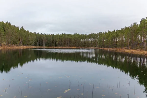 Φθινοπωρινό Τοπίο Σουηδία Λίμνη Ήρεμα Νερά Δασική Αντανάκλαση Στα Σύννεφα — Φωτογραφία Αρχείου
