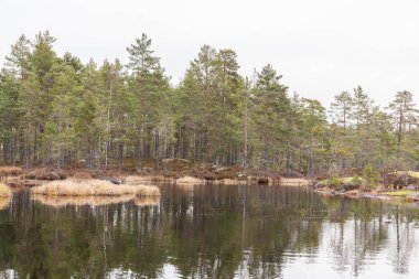 Göl, sakin su, sudaki orman yansıması, bulutlu sonbahar manzarası. İsveç.