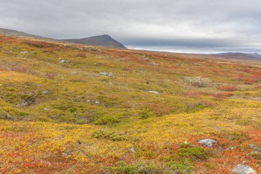 Sonbaharda İsveç 'in kuzeyinde Sarek Ulusal Parkı, seçici odaklı