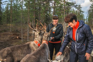 Two women feed reindeer, Sami, saami village on the Kola Peninsula, Russia. Tourist ethnographic parking. Settlement Old Titovka, Murmansk region clipart