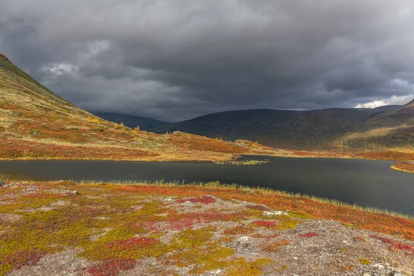 Berg Sareks Nationalpark Lappland Höst Sverige Selektivt Fokus — Stockfoto