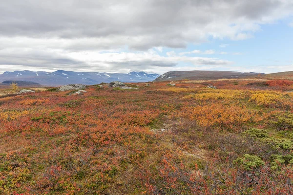 Sarek Nemzeti Park Hegyei Lappföldön Ősz Svédország Szelektív Fókusz — Stock Fotó