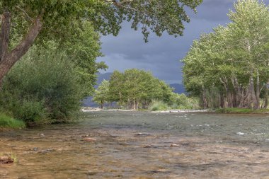 Altai dağlarının yeşil vahasında bir dağ nehri. Moğolistan