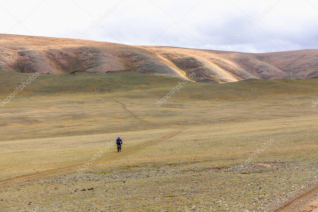 Motorcycle traveler in helmet riding a motorbike in the steppes of Mongolia.