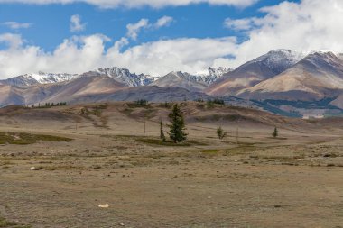 Altai, Rusya Yaz Manzarası. Altai Cumhuriyeti Rusya 'nın etnik cumhuriyetlerinden biridir..