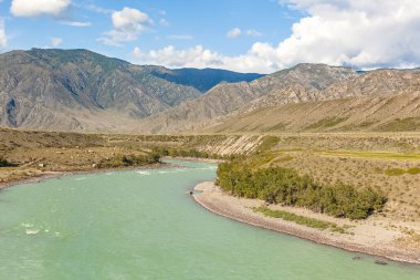 Altai 'deki White Mountain nehri. Altai, Rusya Yaz Manzarası. Altai Cumhuriyeti, Rusya 'nın etnik cumhuriyetlerinden biridir. Altay
