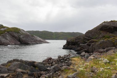 Norveç yaz manzarası fiyort, dağlar, Norveç. Norveç 'te seçici odaklanma, renkli sabah sahnesi.