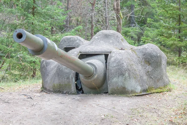 大砲は冷戦の記憶 選択的な焦点としてバルト海のスウェーデンの海岸に立っている — ストック写真