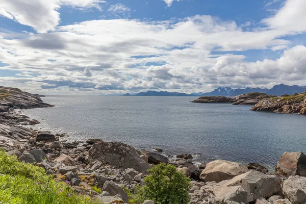 ロフトテン夏の風景ロフトテンは ノルウェーのノードランド県の群島です 劇的な山々やピークを持つ独特の風景で知られています 選択的焦点 — ストック写真