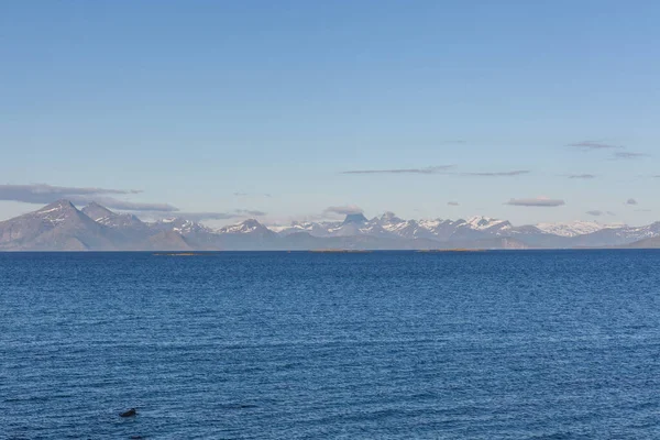 美しいノルウェーの風景 フィヨルドの眺めだノルウェー澄んだ水の中で理想的なフィヨルドの反射 選択的焦点 — ストック写真