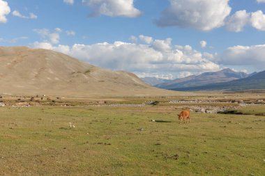Tipik Moğolistan manzaraları. Dağ yamaçları ve vadiler. Altai, Moğolistan