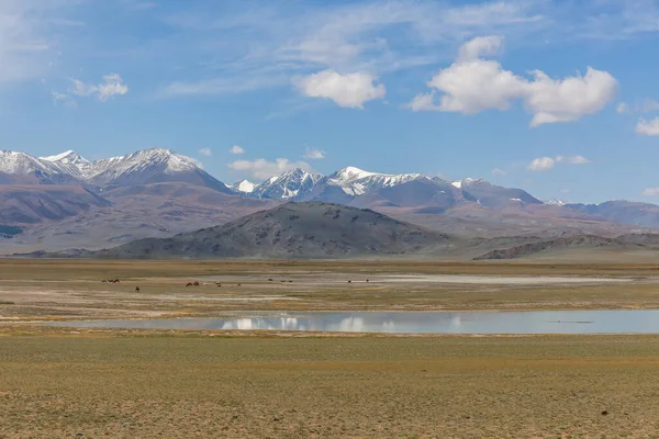 Amazing Altai Natural Landscape Calm Lake Emerald Water Surrounded Incredible — Stock Photo, Image