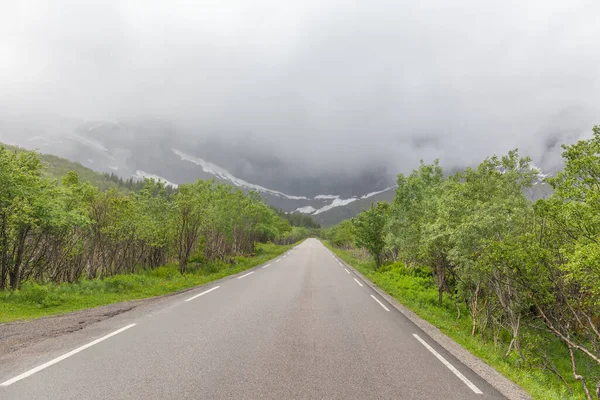 View Empty Winding Road Lofoten Islands — Stock Photo, Image