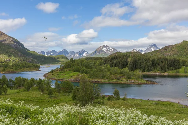 Las Islas Lofoten Archipiélago Condado Nordland Noruega Conocido Por Paisaje — Foto de Stock