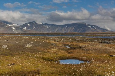 Laponya 'daki Sarek Ulusal Parkı. İsveç dağından seçici bir odak noktası.