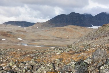 Sarek Ulusal Parkı, Laponya, Norrbotten County, İsveç, Finlandiya, İsveç ve Norveç sınırının sonbahar manzarası. seçici odak