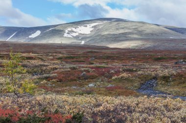 Laponya 'daki Sarek Ulusal Parkı. İsveç dağından seçici bir odak noktası.