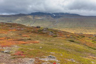 Sonbaharda İsveç 'in kuzeyinde Sarek Ulusal Parkı, seçici odaklı